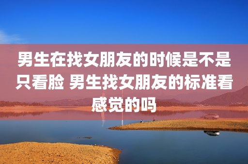 男生在找女朋友的时候是不是只看脸 男生找女朋友的标准看感觉的吗