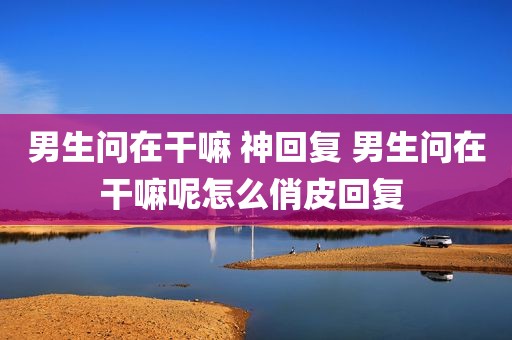 男生问在干嘛 神回复 男生问在干嘛呢怎么俏皮回复 