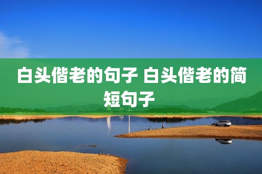 白头偕老的句子 白头偕老的简短句子 
