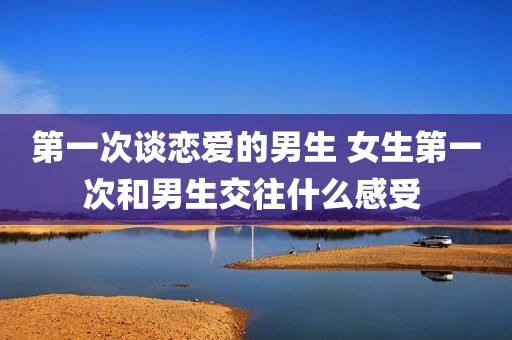 第一次谈恋爱的男生 女生第一次和男生交往什么感受 