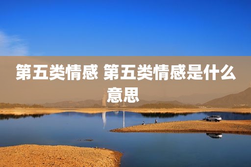 第五类情感 第五类情感是什么意思 