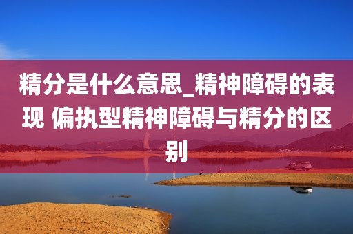 精分是什么意思_精神障碍的表现 偏执型精神障碍与精分的区别