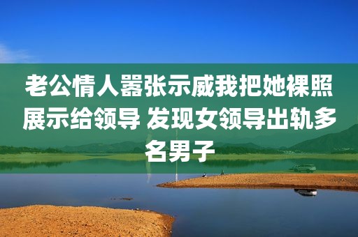 老公情人嚣张示威我把她裸照展示给领导 发现女领导出轨多名男子