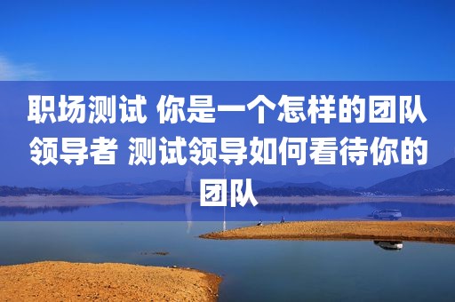 职场测试 你是一个怎样的团队领导者 测试领导如何看待你的团队