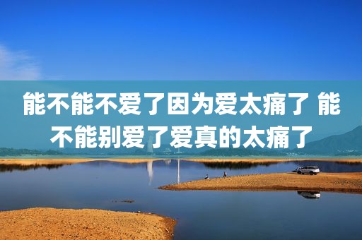能不能不爱了因为爱太痛了 能不能别爱了爱真的太痛了