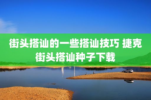 街头搭讪的一些搭讪技巧 捷克街头搭讪种子下载