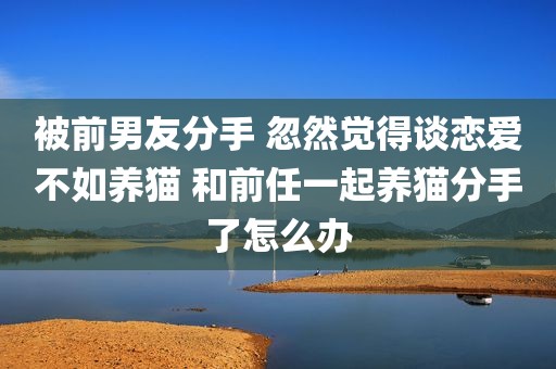 被前男友分手 忽然觉得谈恋爱不如养猫 和前任一起养猫分手了怎么办