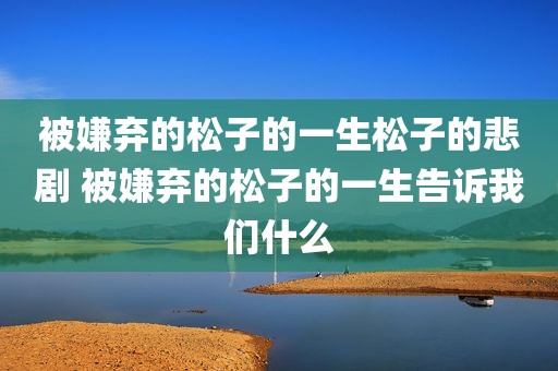 被嫌弃的松子的一生松子的悲剧 被嫌弃的松子的一生告诉我们什么