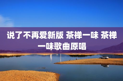 说了不再爱新版 茶禅一味 茶禅一味歌曲原唱
