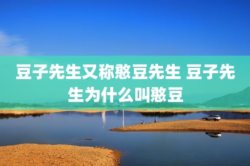 豆子先生又称憨豆先生 豆子先生为什么叫憨豆