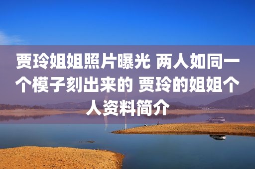 贾玲姐姐照片曝光 两人如同一个模子刻出来的 贾玲的姐姐个人资料简介