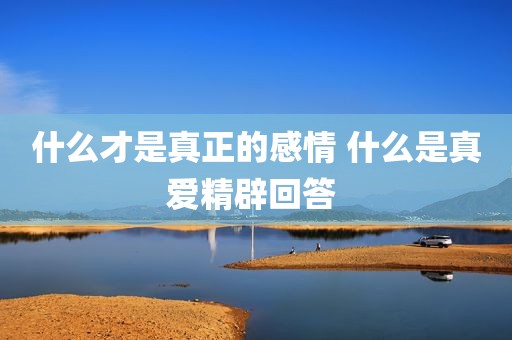 什么才是真正的感情 什么是真爱精辟回答 