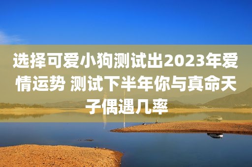 选择可爱小狗测试出2023年爱情运势 测试下半年你与真命天子偶遇几率