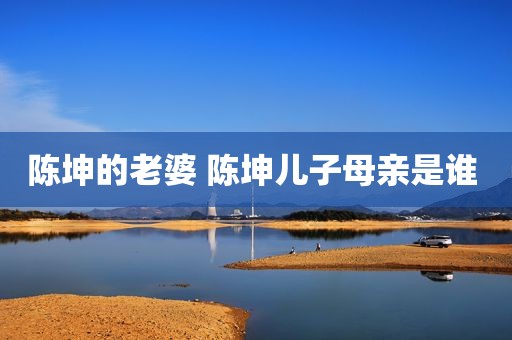 陈坤的老婆 陈坤儿子母亲是谁 