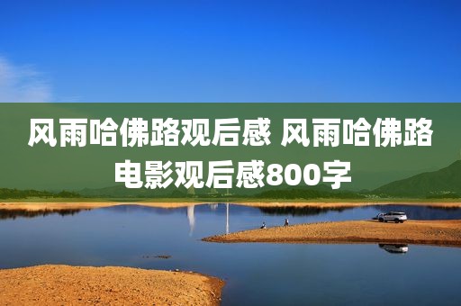 风雨哈佛路观后感 风雨哈佛路电影观后感800字