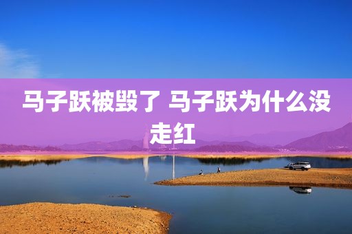 马子跃被毁了 马子跃为什么没走红 