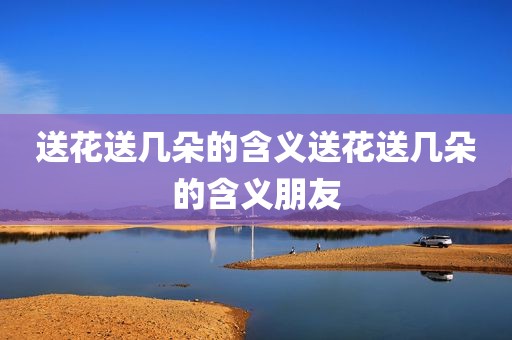 送花送几朵的含义送花送几朵的含义朋友