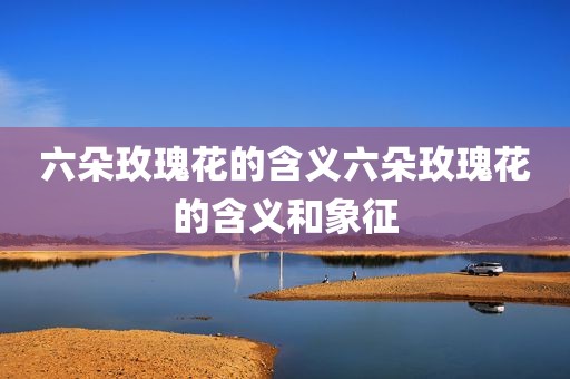 六朵玫瑰花的含义六朵玫瑰花的含义和象征