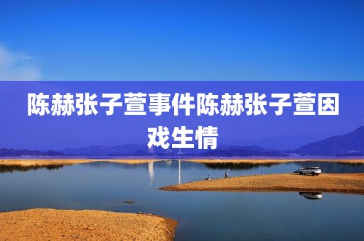 陈赫张子萱事件陈赫张子萱因戏生情