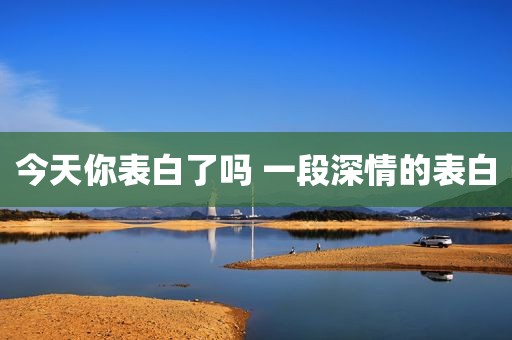 今天你表白了吗 一段深情的表白