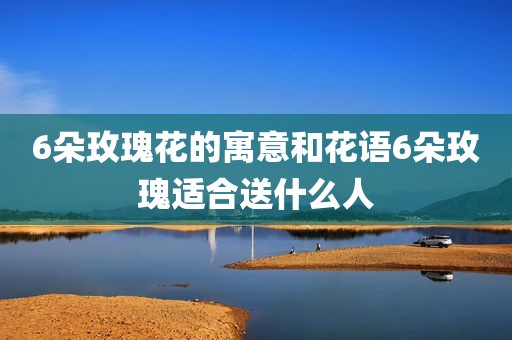 6朵玫瑰花的寓意和花语6朵玫瑰适合送什么人