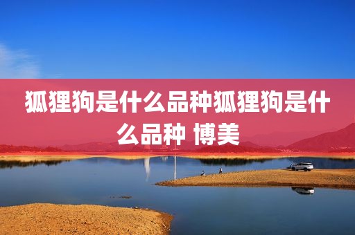 狐狸狗是什么品种狐狸狗是什么品种 博美