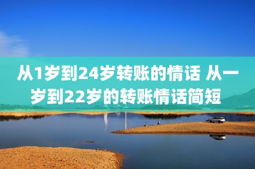 从1岁到24岁转账的情话 从一岁到22岁的转账情话简短 