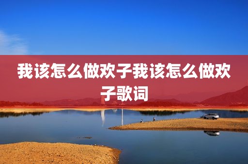 我该怎么做欢子我该怎么做欢子歌词