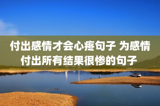 付出感情才会心疼句子 为感情付出所有结果很惨的句子 