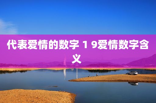代表爱情的数字 1 9爱情数字含义 