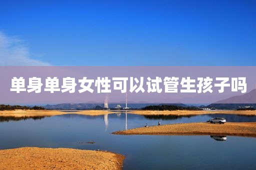 单身单身女性可以试管生孩子吗