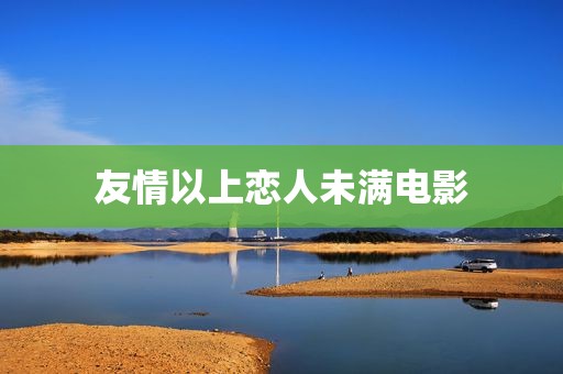 友情以上恋人未满电影