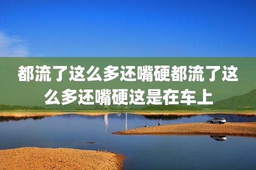 都流了这么多还嘴硬都流了这么多还嘴硬这是在车上