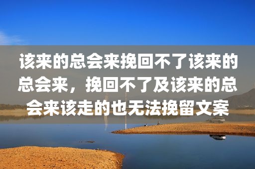 该来的总会来挽回不了该来的总会来，挽回不了及该来的总会来该走的也无法挽留文案