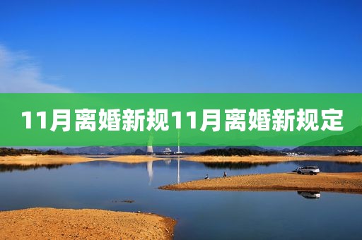 11月离婚新规11月离婚新规定