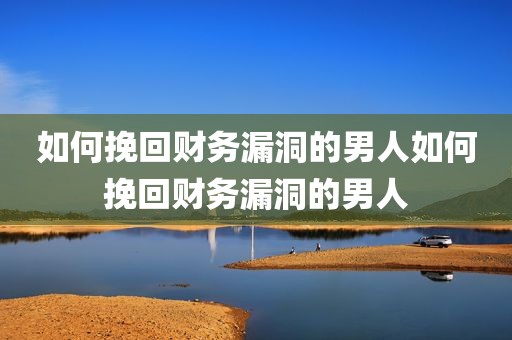 如何挽回财务漏洞的男人如何挽回财务漏洞的男人