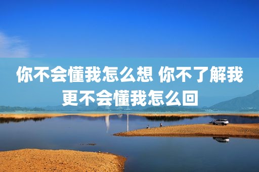 你不会懂我怎么想 你不了解我更不会懂我怎么回