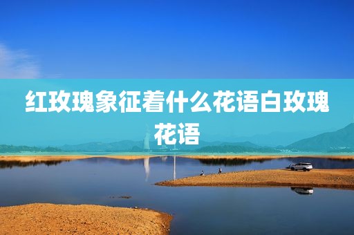 红玫瑰象征着什么花语白玫瑰花语