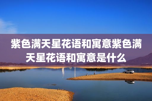 紫色满天星花语和寓意紫色满天星花语和寓意是什么