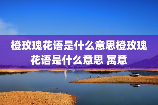 橙玫瑰花语是什么意思橙玫瑰花语是什么意思 寓意