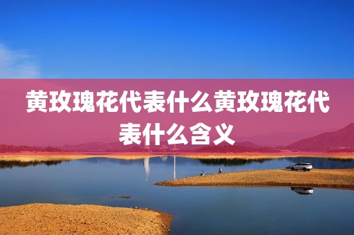 黄玫瑰花代表什么黄玫瑰花代表什么含义