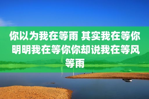 你以为我在等雨 其实我在等你 明明我在等你你却说我在等风等雨