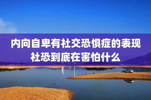 内向自卑有社交恐惧症的表现社恐到底在害怕什么