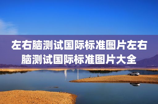 左右脑测试国际标准图片左右脑测试国际标准图片大全
