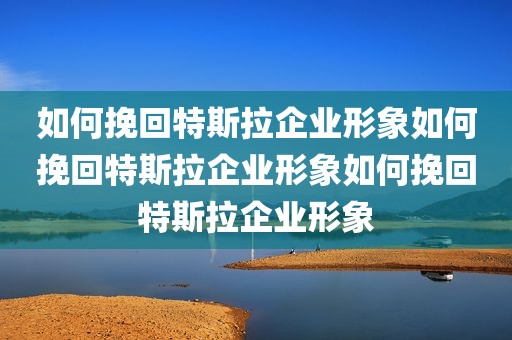 如何挽回特斯拉企业形象如何挽回特斯拉企业形象如何挽回特斯拉企业形象
