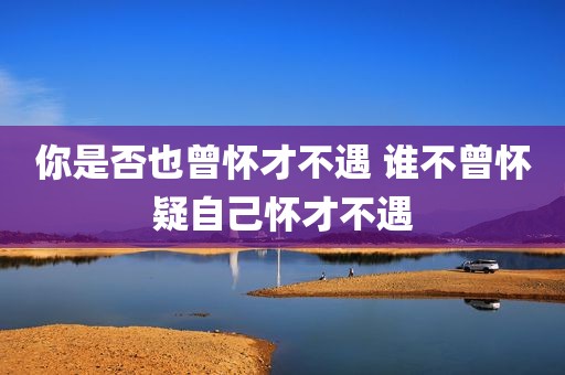 你是否也曾怀才不遇 谁不曾怀疑自己怀才不遇