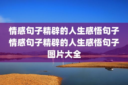 情感句子精辟的人生感悟句子情感句子精辟的人生感悟句子图片大全