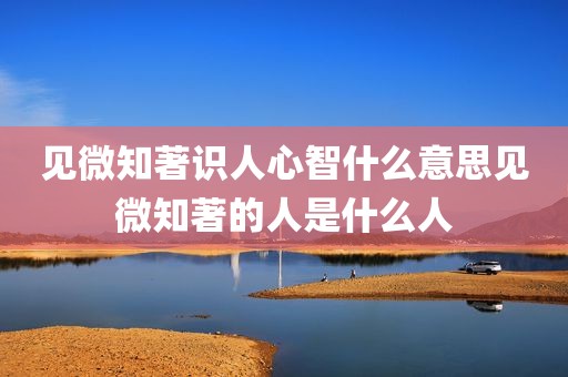 见微知著识人心智什么意思见微知著的人是什么人