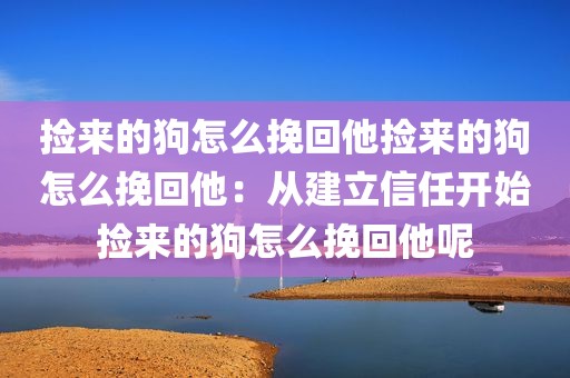捡来的狗怎么挽回他捡来的狗怎么挽回他：从建立信任开始捡来的狗怎么挽回他呢