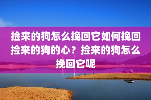 捡来的狗怎么挽回它如何挽回捡来的狗的心？捡来的狗怎么挽回它呢
